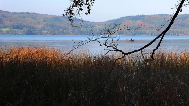 Deutschland Landschaft
Eifel See Laacher See Herbst Panorama-Aufnahme | Verwendung weltweit