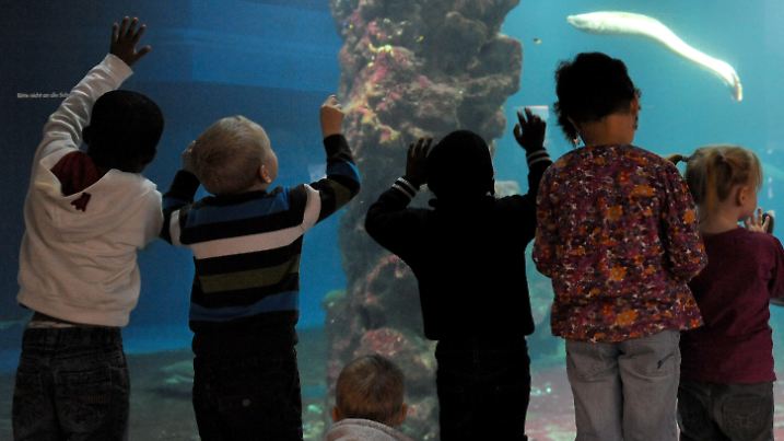 Kinder zeigen am 11.10.2012 im Aquazoo in Düsseldorf (Nordrhein-Westfalen) auf einen Aal. Foto: Daniel Naupold/dpa | Verwendung weltweit