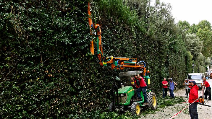 Team of workers cutting a hedge in Boboli Gardens with a Coup'Eco Galax 6000 H hedge cutter , Florence, Italy