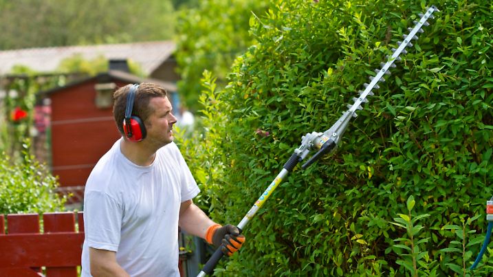Germany, Kiel, Man cutting hedge || Modellfreigabe vorhanden
