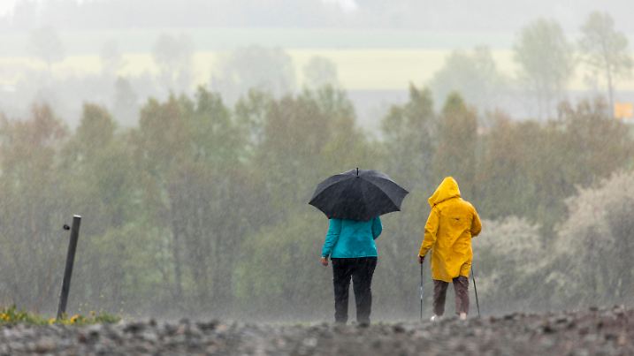 News Themen der Woche KW18 200229 Regen. Regen, endlich Regen Nach wochenlanger Dürre und Trockenheit erfolgte am Mittwoch ein Wetterumschwung. Nach tagelanger Trockenheit, Dürre, Dreck und Staub kam dieses nasse Zeug vom Himmel. Dicke Tropfen, Pfützen, Wasser auf den Straßen was für ein seltenes Bild. Die Natur freut es. In Annaberg-Buchholz explodierte nach dem dicken Regenschauer die Natur regelrecht. Der Löwenzahn ging in einer Pracht auf, wartete regelrecht auf den Regen. Und auch der Regenschirm wurde wieder benötigt, viele Wissen vielleicht gar nicht mehr wie er aussieht. Auf den Autos hingegen lag eine dicke Pollenschicht, für Allergiker gut, denn diese wurden auch mit ausgespült. Annaberg-Buchholz Sachsen Deutschland *** 200229 Rain Rain, finally rain After weeks of drought and dryness a change in the weather occurred on Wednesday After day