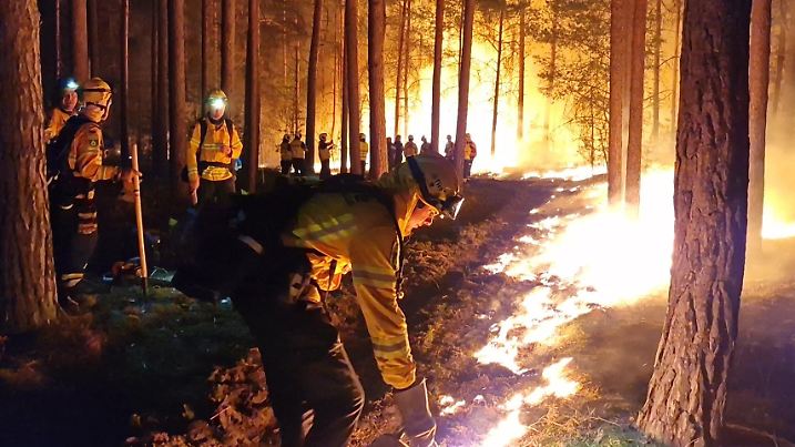 19.06.2022, Brandenburg, Beelitz: Einsatzkräfte der Hilfsorganisation @fire legen Gegenfeuer, um eine weitere Ausbreitung des Waldbrandes zu verhindern und die Feuerwehr bei der Bekämpung des Feuers zu unterstützen. Der Waldbrand bei Beelitz (Potsdam-Mittelmark) ist nach Angaben von Bürgermeister Bernhard Knuth (parteilos) unter Kontrolle. Foto: Cevin Dettlaff/dpa-Zentralbild/dpa +++ dpa-Bildfunk +++