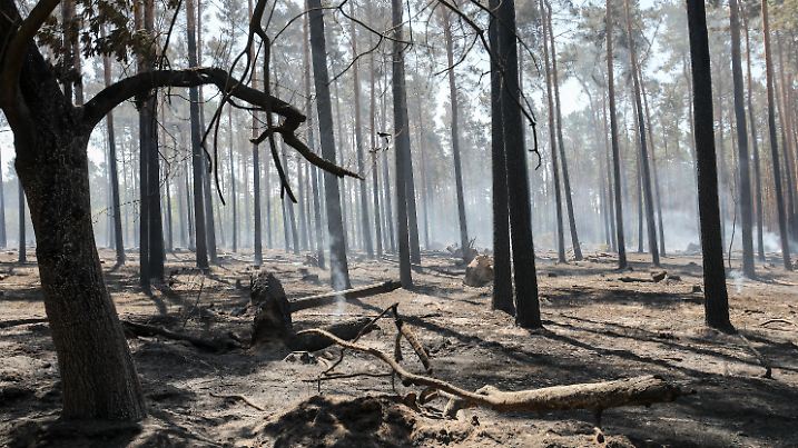 ARCHIV - 04.07.2018, Sachsen-Anhalt, Serno: Letzte Brandnester qualmen noch nach einem Waldbrand. (zu dpa ««Situation ist brenzlig» - Wälder kämpfen erneut mit Trockenheit») Foto: Jan Woitas/ZB/dpa +++ dpa-Bildfunk +++