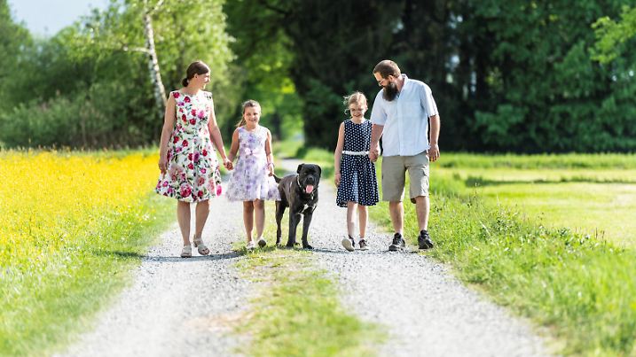 Happy family taking a walk with their dog. The parents are holding hands with their daughters. The bearded father is wearing shorts, the mother and the two daughters summer dresses.