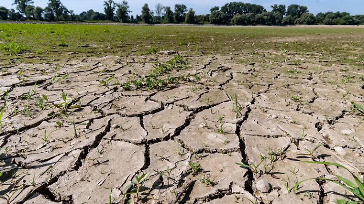 25.07.2019, Bayern, Mariaposching: Aufgerissen und ausgetrocknet ist eine Sandbank an der Niedrigwasser führenden Donau. Die Hitze in Deutschland erreicht rekordverdächtige Höhen. Foto: Armin Weigel/dpa +++ dpa-Bildfunk +++