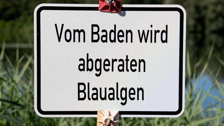 ARCHIV - 03.07.2018, Niedersachsen, Hildesheim: Ein Schild «Vom Baden wird abgeraten - Blaualgen» steht am Hohnsensee. Giftige Blaualgen verhindern an mehreren Seen in Niedersachsen den hochsommerlichen Badespaß. An vier Badestellen haben die Behörden bereits offizielle Badeverbote ausgesprochen. Foto: Julian Stratenschulte/dpa +++ dpa-Bildfunk +++