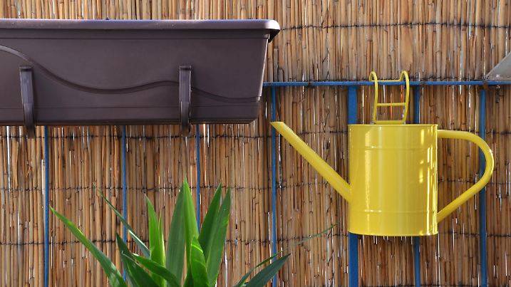 Yellow metal watering can (pot) hang on balcony railing nex to the flower pot, bamboo fence in background