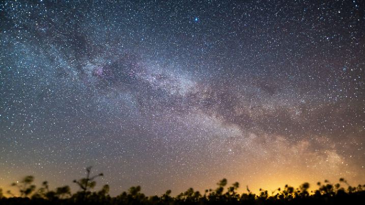 22.04.2020, Schleswig-Holstein, Neukirchen: Der Sternenhimmel leuchtet über einem Rapsfeld. Meist sternenklarer Himmel ermöglicht aktuell freie Sicht auf die Sternschnuppen der Lyriden. Jedes Jahr im April durchquert die Erde den Rest eines Kometenschweifs. Dabei tritt der Lyriden-Meteorschauer am Nachthimmel auf. Foto: Daniel Reinhardt/dpa +++ dpa-Bildfunk +++