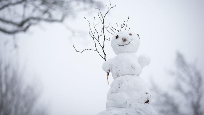 Ein Schneemann steht am 03.12.2017 auf dem Johannisberg in Bielefeld (Nordrhein-Westfalen). Weite Teile von Ostwestfalen liegen zum ersten Mal in diesem Winter in Schnee gehüllt bei Temperaturen um den Gefrierpunkt. Foto: Friso Gentsch/dpa +++(c) dpa - Bildfunk+++