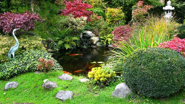 Ein Teich im Garten hat für das Klima und die Umwelt einige Benefits zu bieten. 