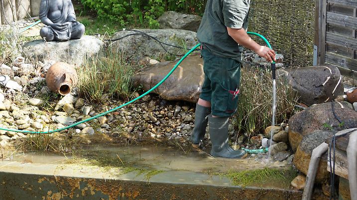 Algen sollten im Teich nicht die Oberhand gewinnen