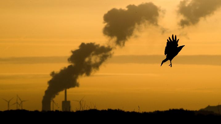 20.09.2019, Niedersachsen, Hannover: Eine Krähe fliegt kurz nach Sonnenaufgang am Kronsberg, während am Horizont Dampf vom Kohlekraftwerk Mehrum im Landkreis Peine aufsteigt. Das Klimakabinett tagt am 20.09.2019, um über eine Strategie der Bundesregierung für mehr Klimaschutz zu entscheiden. Foto: Julian Stratenschulte/dpa +++ dpa-Bildfunk +++
