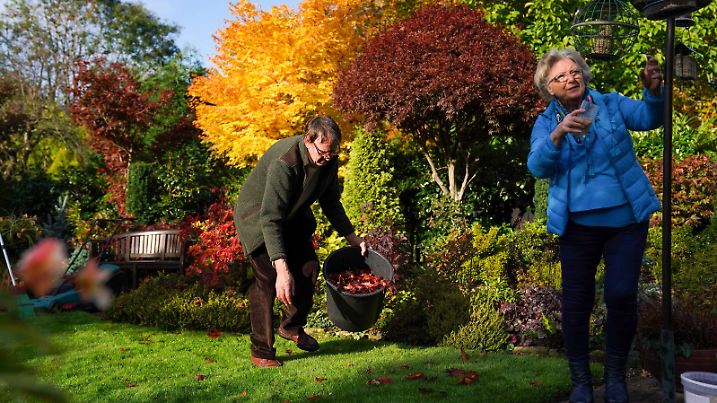 Autumn weather Oct 25th 2021. Retired couple Tony and Marie Newton tend to their Four Seasons garden as it bursts into autumnal colour at their home in Walsall, West Midlands. Picture date: Monday October 25, 2021. See PA story WEATHER Autumn. Photo credit should read: Jacob King/PA Wire URN:63313916