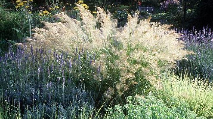 epa03566779 A two way composite picture shows the ATR-72 turboprop plane of Romania's Carpatair airline (operating for Alitalia), after it was blown off course while landing late 02 February 2013 (top) and on 03 January 2013 without the Alitalia logo (below) at Rome's Leonardo da Vinci airport, Italy. Flights operated by Romanian company Carpatair on domestic Italian routes were suspended after one of its planes was blown off course while landing at Rome's main airport. At least 16 people were injured and two were listed in serious condition, after the turbo-propelled Pisa-Rome flight got into trouble late 02 February. It was being operated on behalf of Italy's national carrier, Alitalia, and had 46 passengers and four crew members on board. Trade union representatives blamed Alitalia for the cost-saving deal with Carpatair, claiming it compromises passengers' security. Pilots and flight assistants held a strike against it on January 25, and are planning another one for Monday, the FIT-CISL union said. EPA/TELENEWS +++(c) dpa - Bildfunk+++